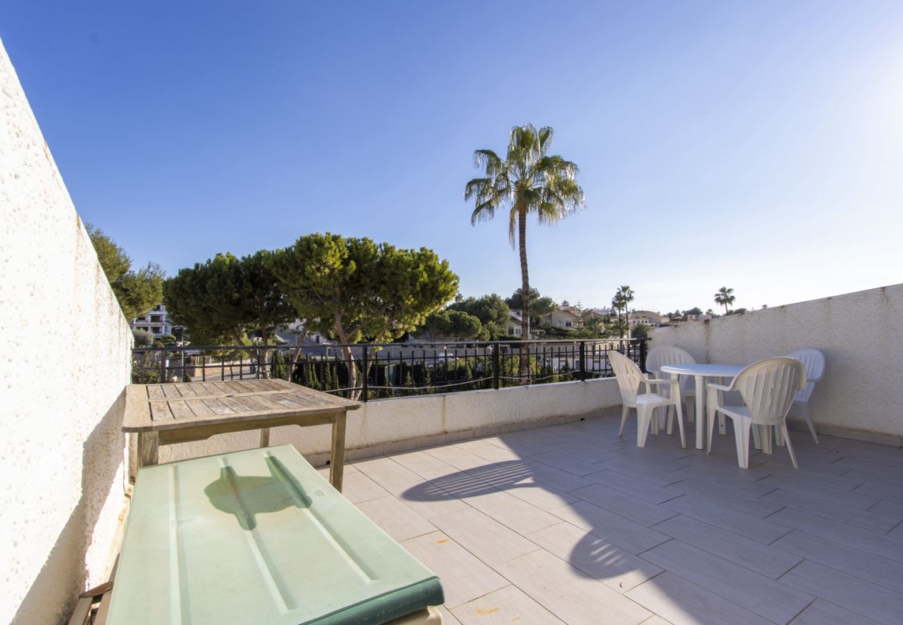 Apartment in Cabo Roig - ID53