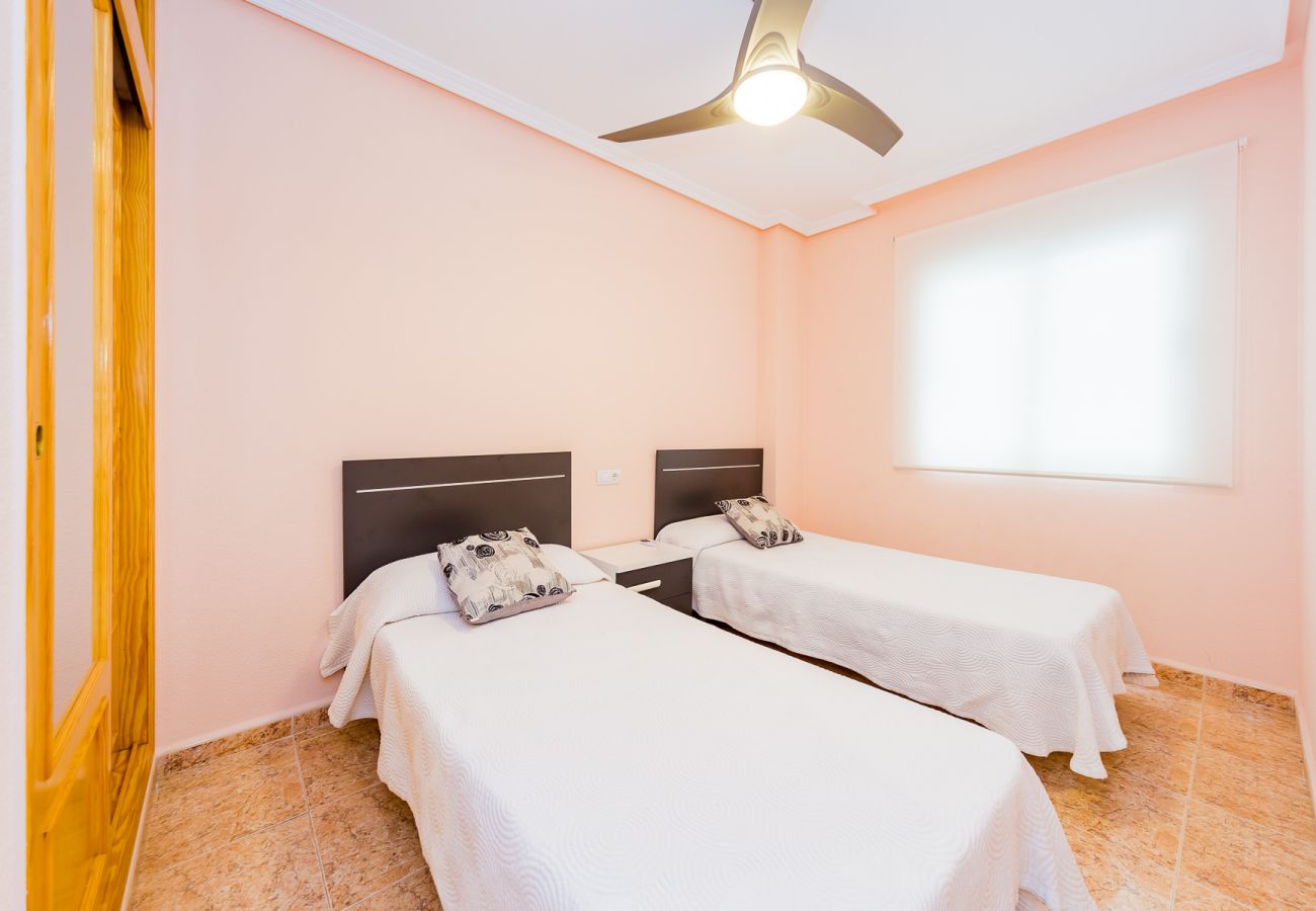 Apartment in Torrevieja - ID55