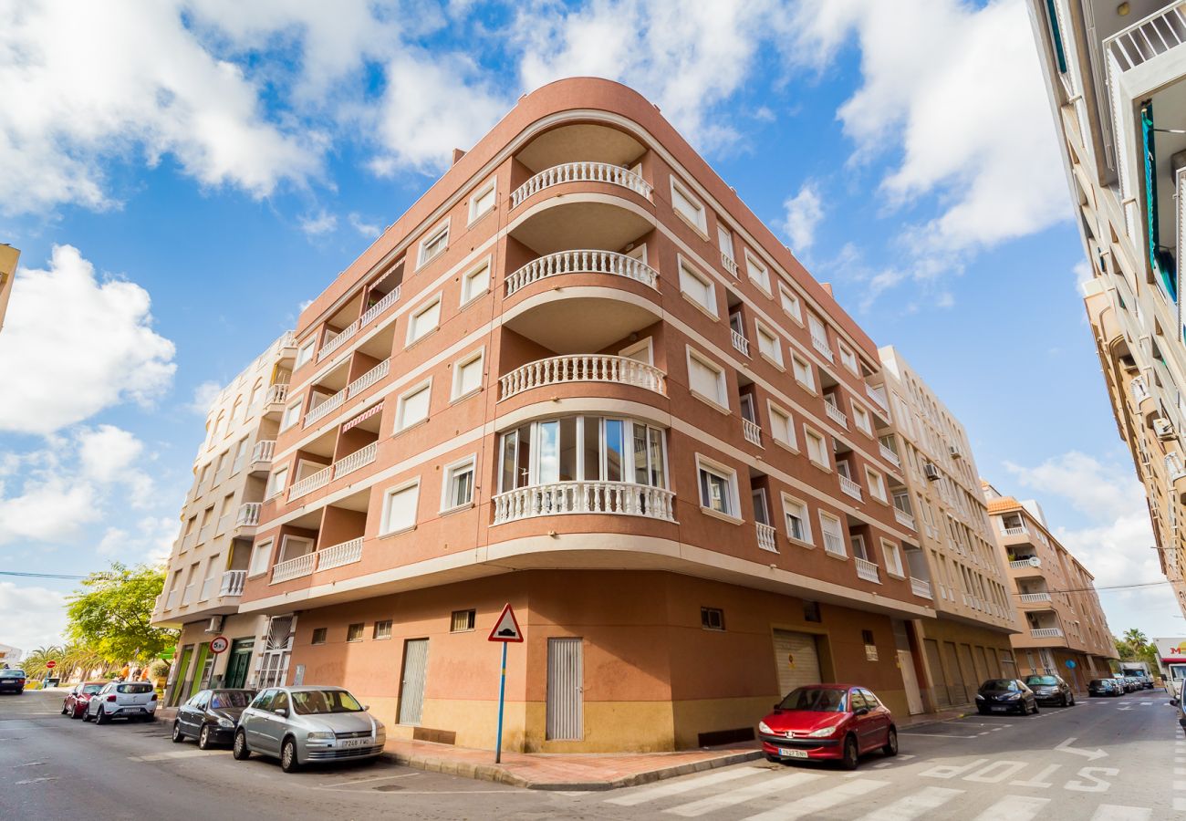 Apartment in Torrevieja - ID55