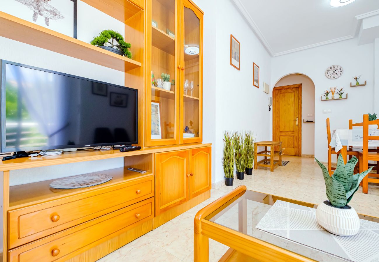 Apartment in Torrevieja - ID58