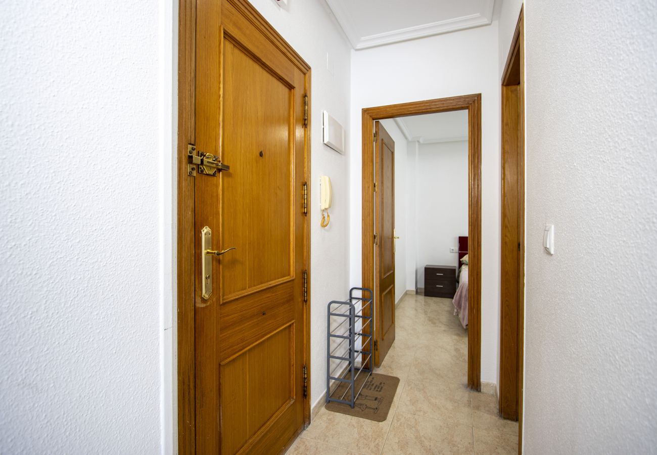 Apartment in Torrevieja - ID60