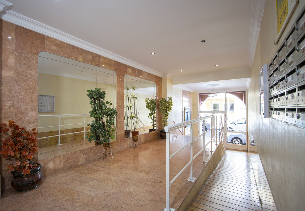 Apartment in Torrevieja - ID60