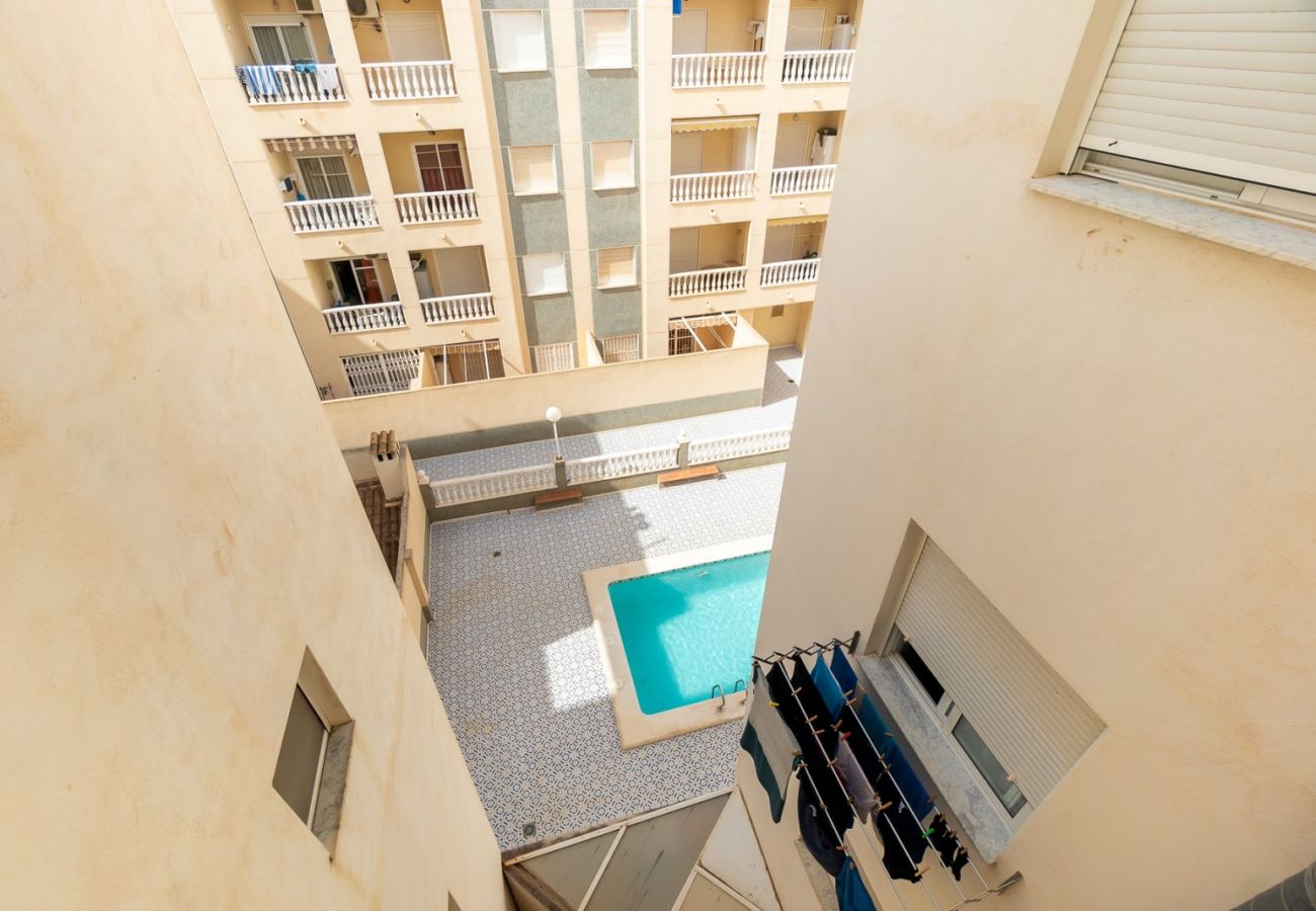 Apartment in Torrevieja - ID61