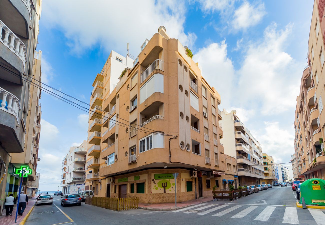 Apartment in Torrevieja - ID63