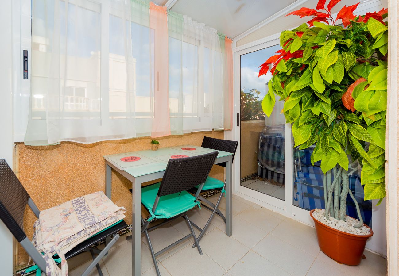 Apartment in Torrevieja - ID63