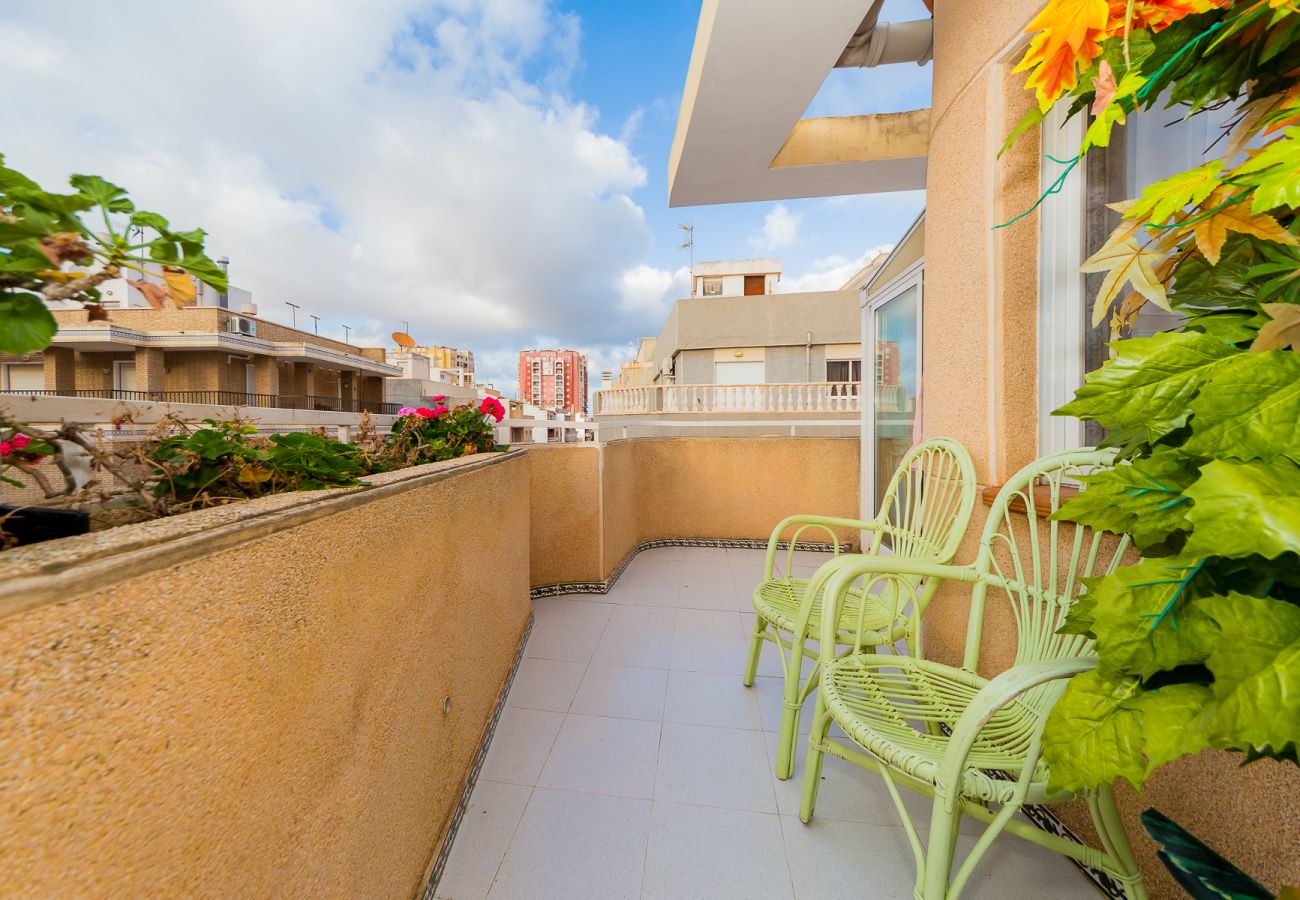 Apartment in Torrevieja - ID63