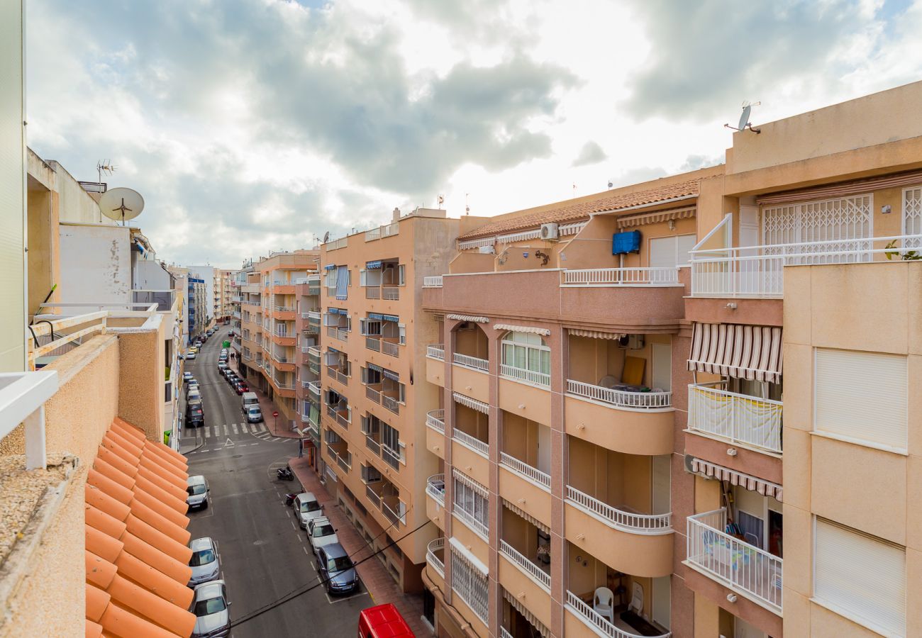 Apartment in Torrevieja - ID63