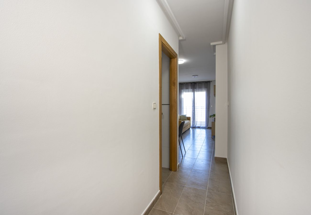 Apartment in Torrevieja - ID67