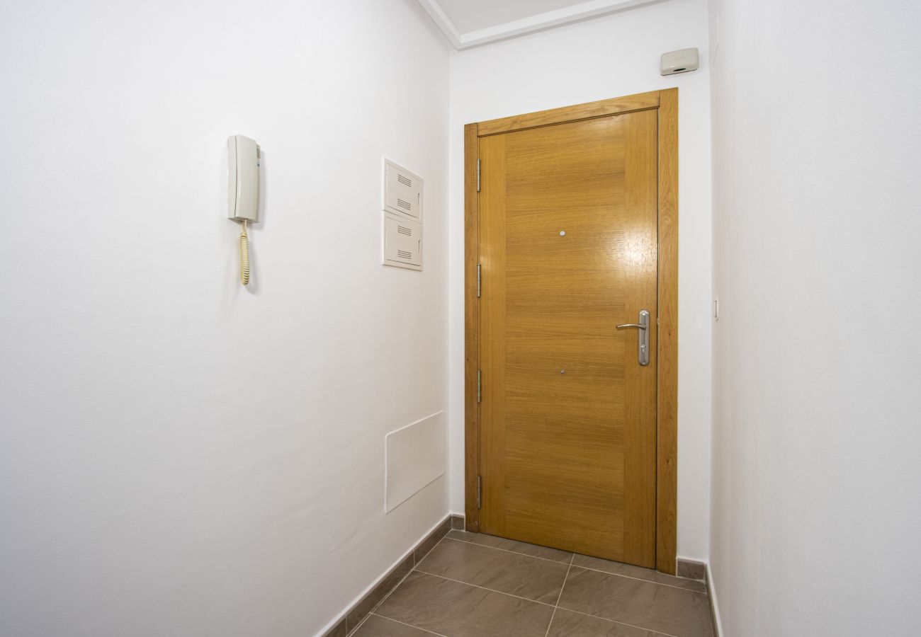 Apartment in Torrevieja - ID67