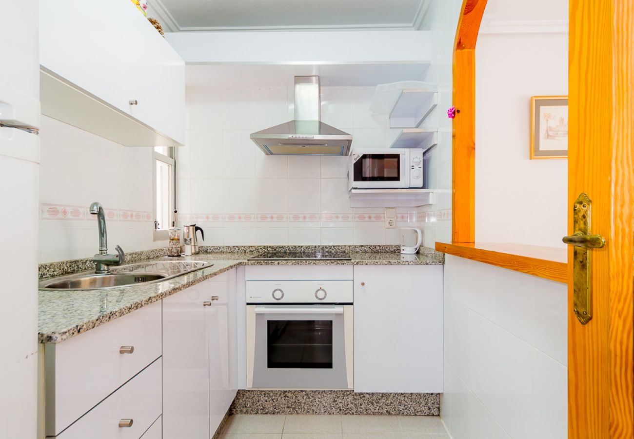 Apartment in Torrevieja - ID68