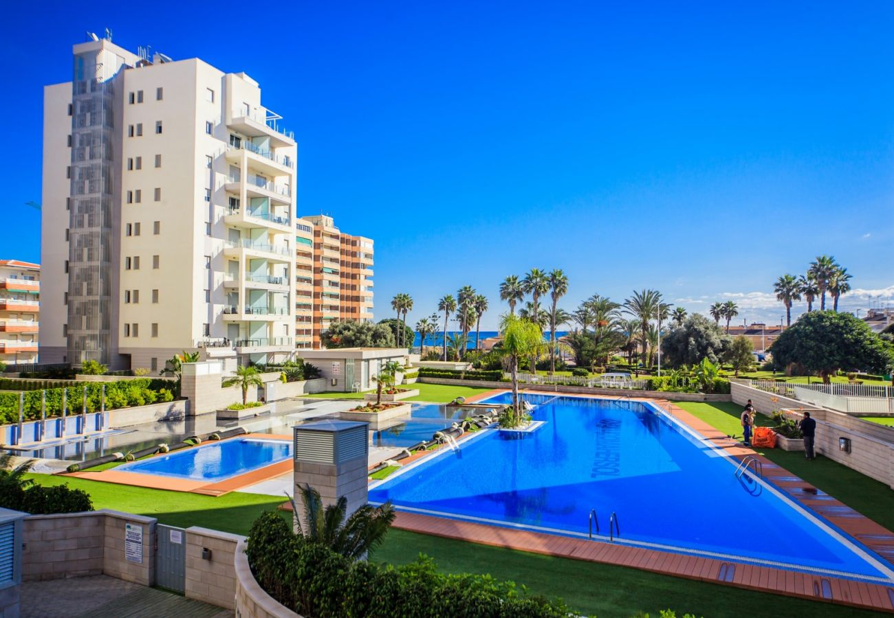 Apartment in Torrevieja - ID74