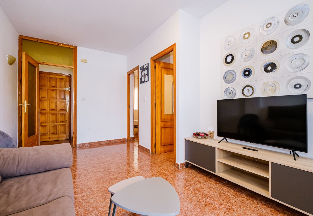 Apartment in Torrevieja - ID79