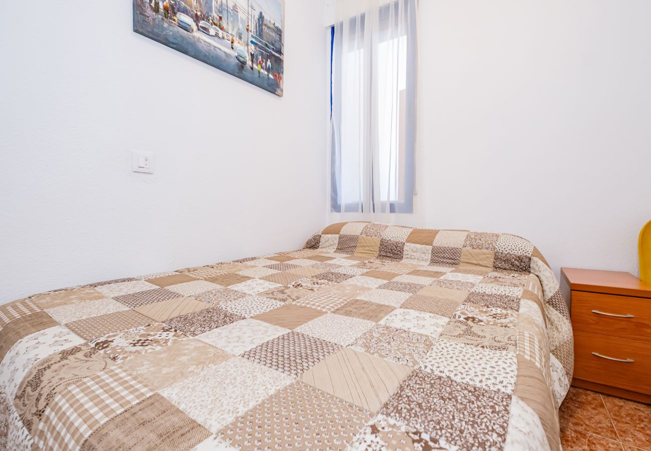 Apartment in Torrevieja - ID79