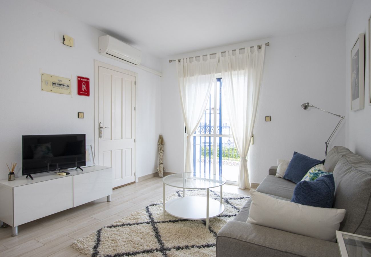 Apartment in Torrevieja - ID81