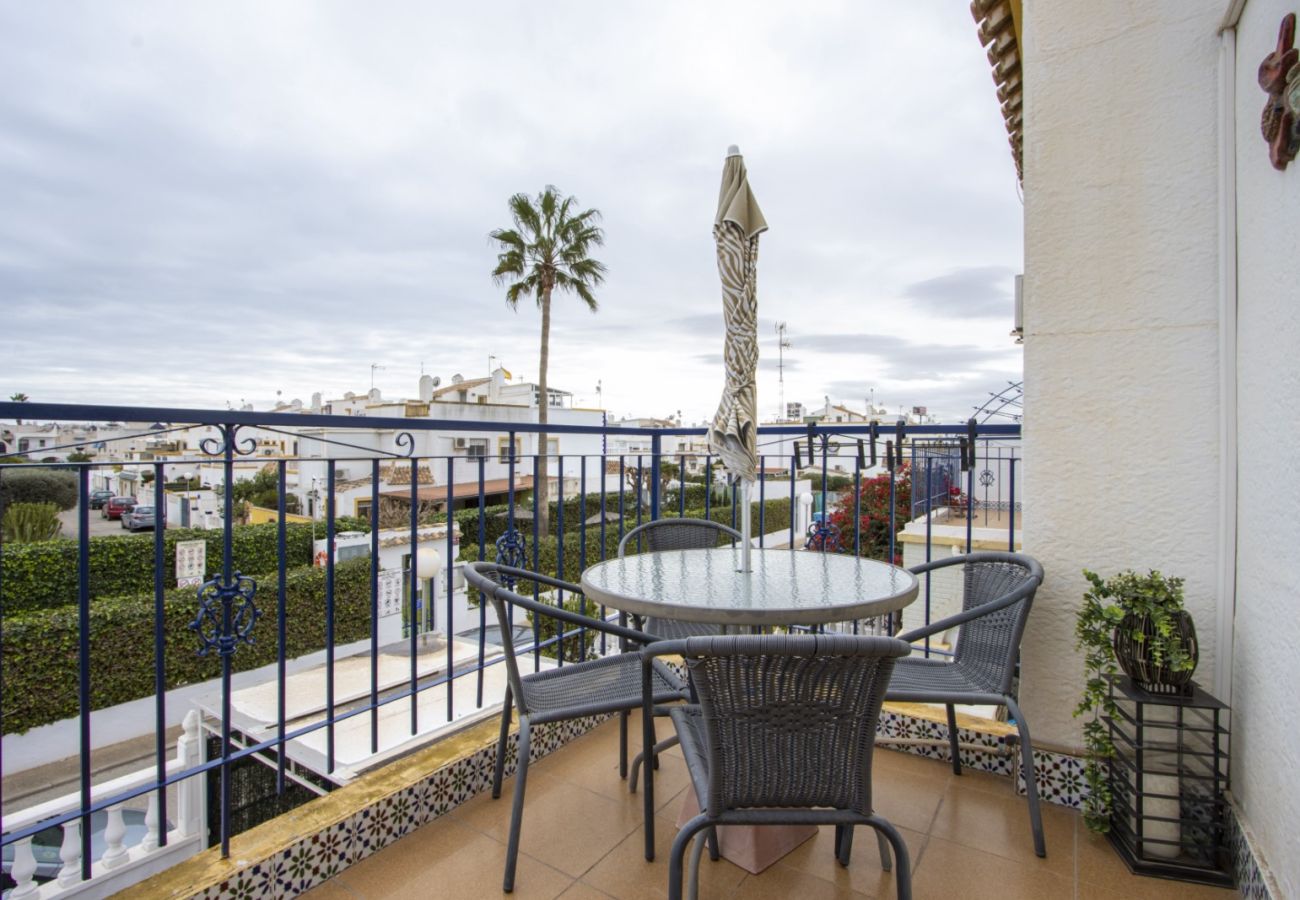 Apartment in Torrevieja - ID81