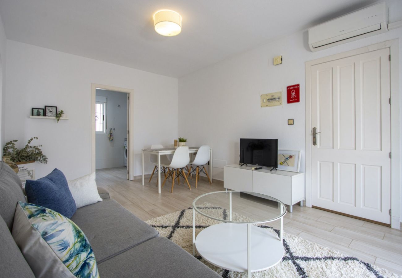 Apartment in Torrevieja - ID81