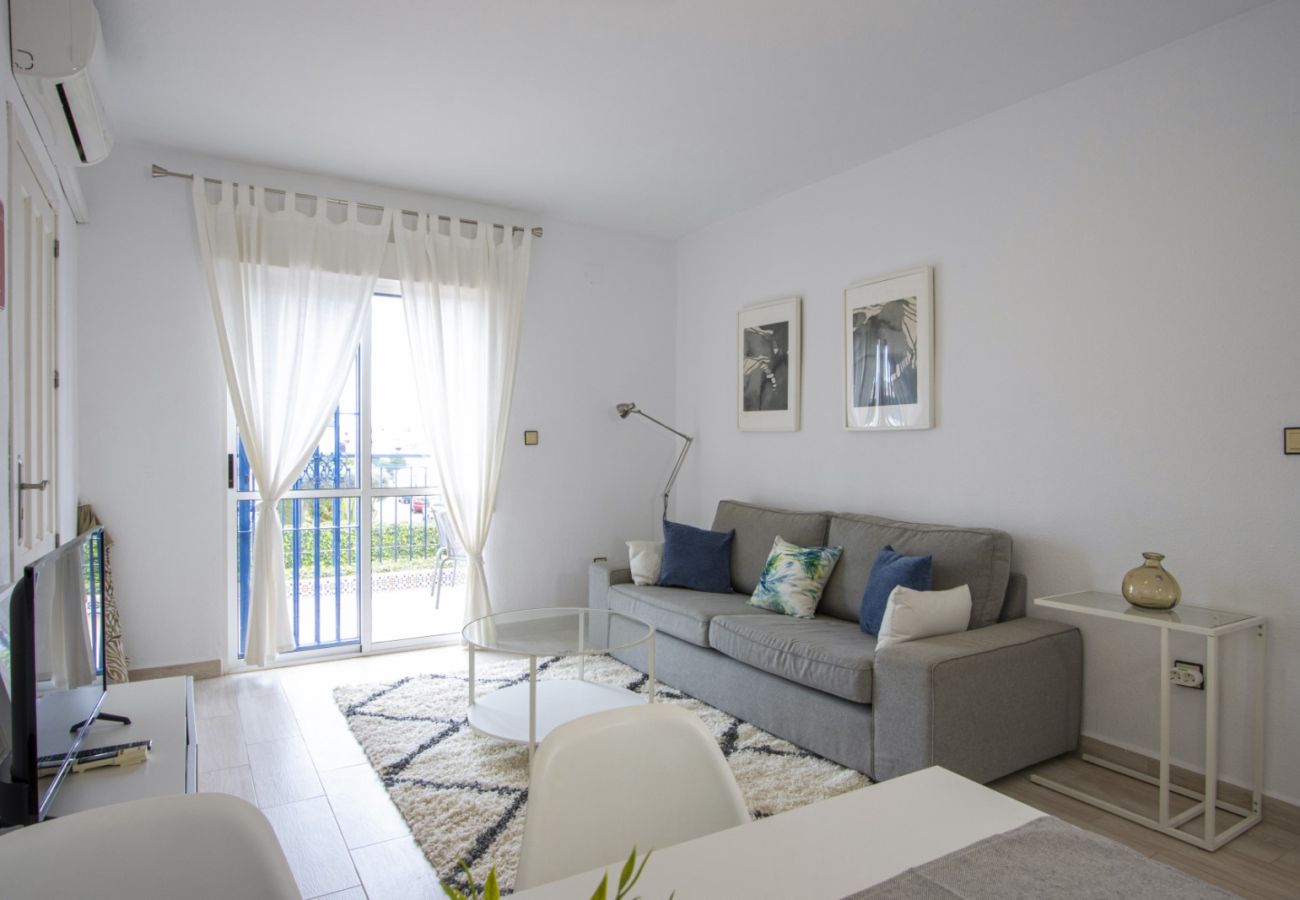 Apartment in Torrevieja - ID81