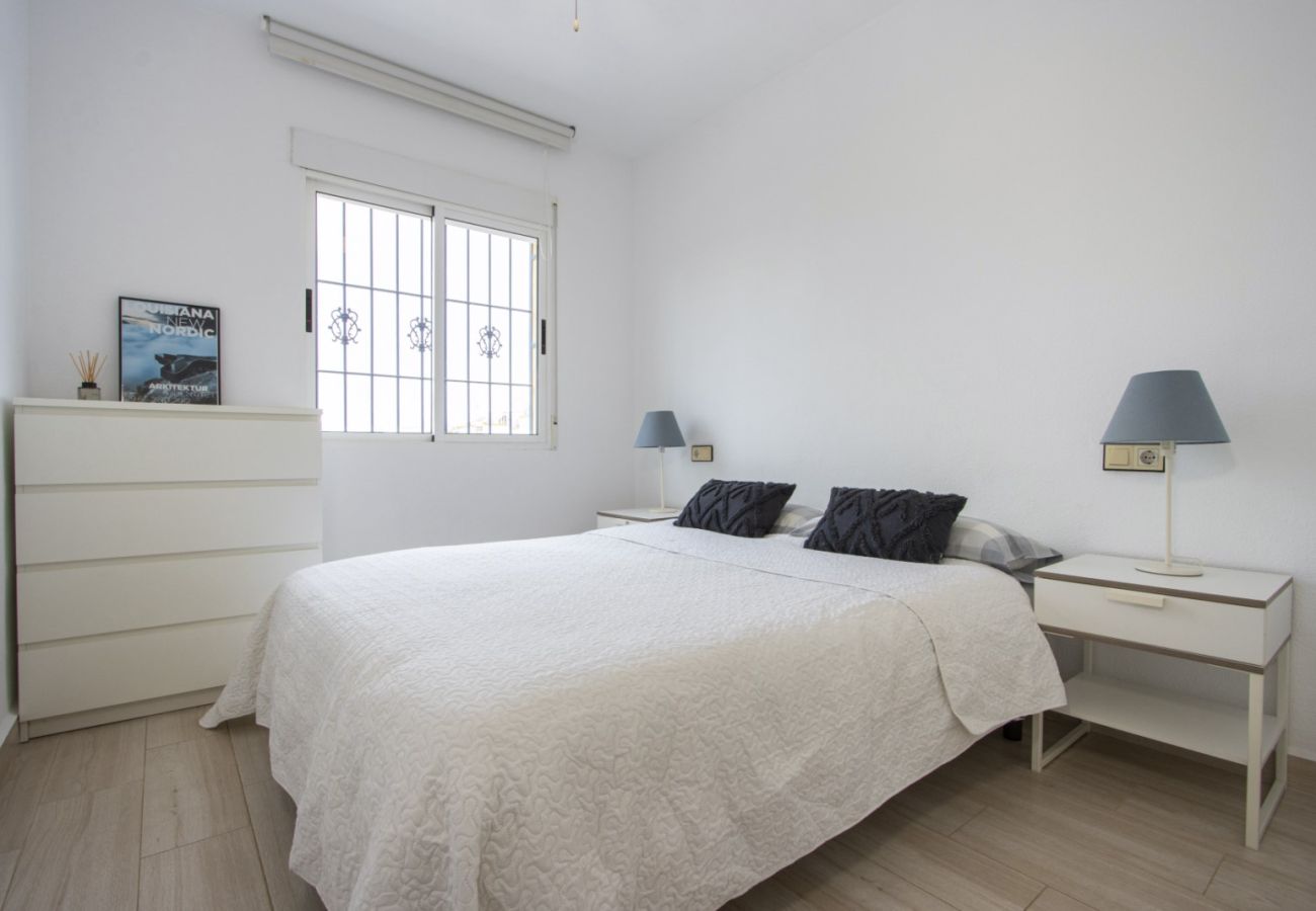 Apartment in Torrevieja - ID81