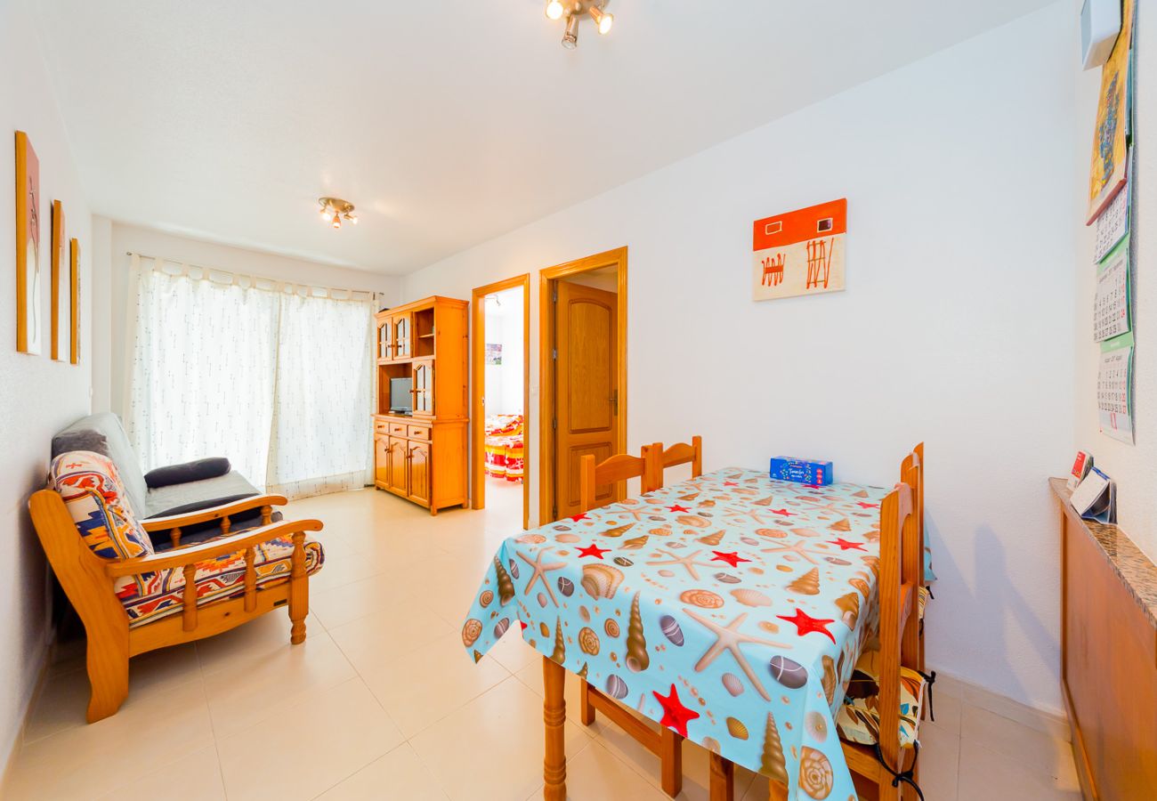 Apartment in Torrevieja - ID82