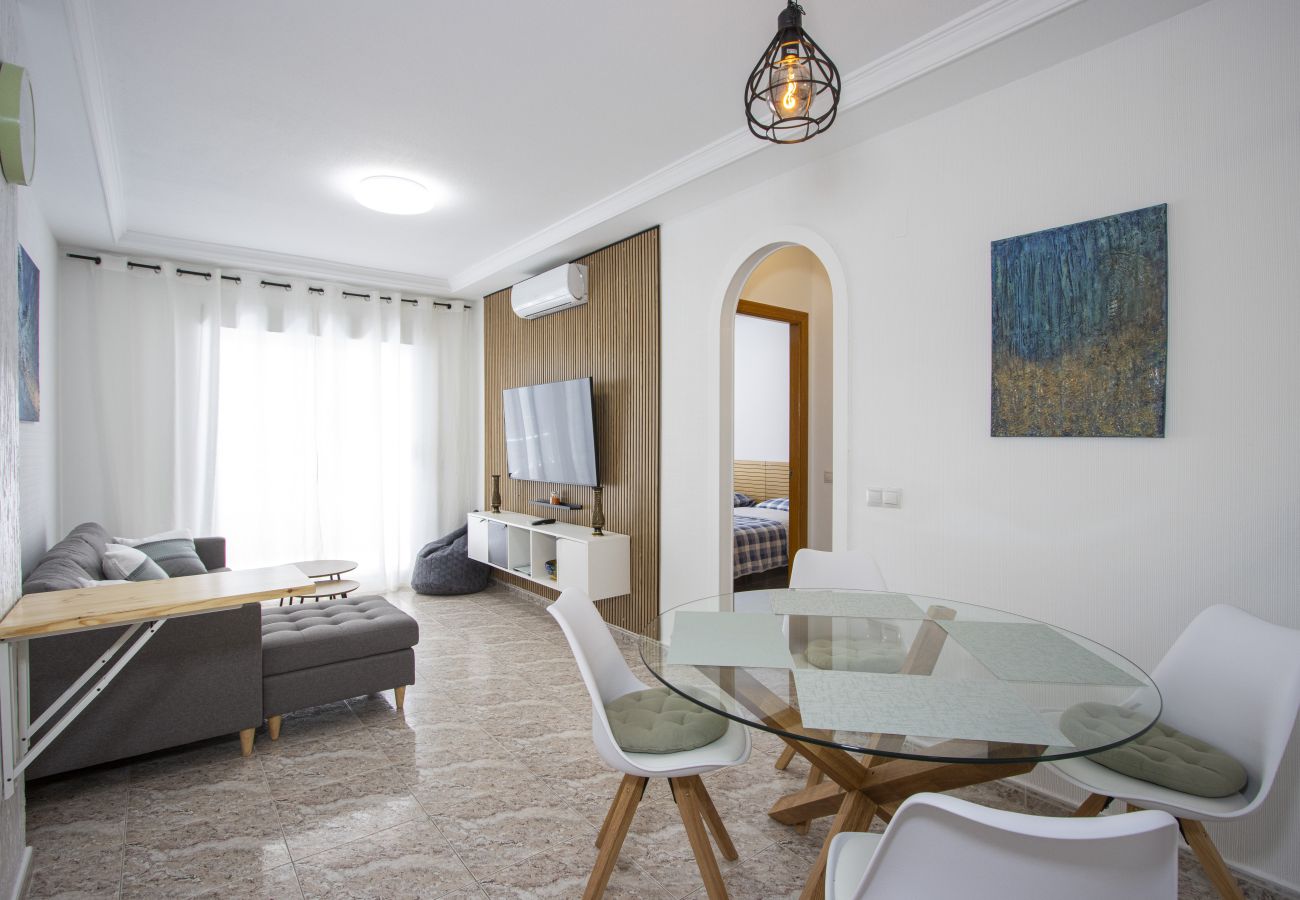 Apartment in Torrevieja - ID20