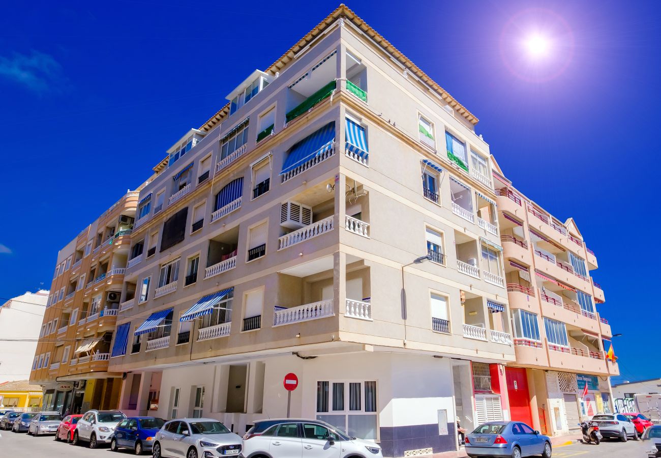 Apartment in Torrevieja - ID87