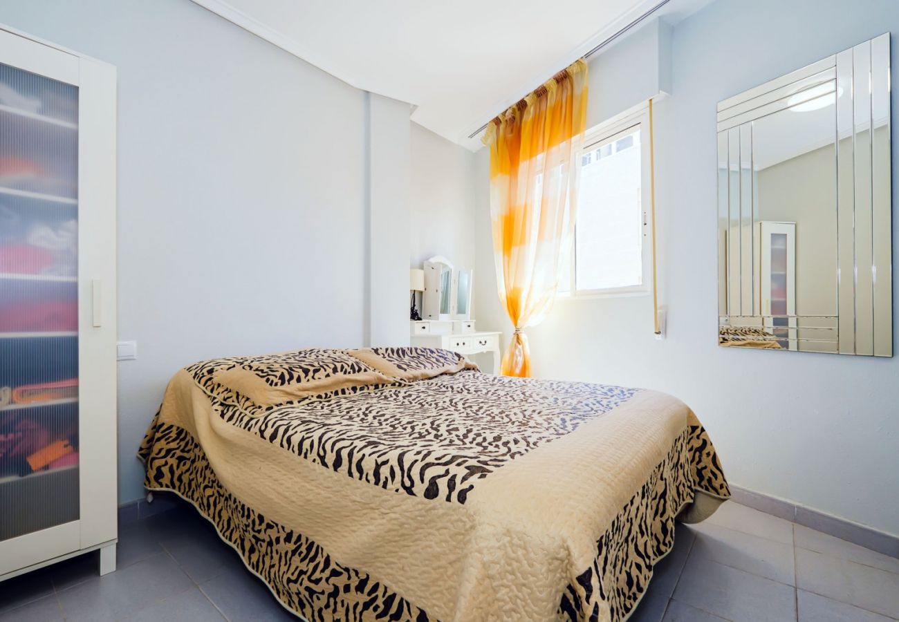 Apartment in Torrevieja - ID88