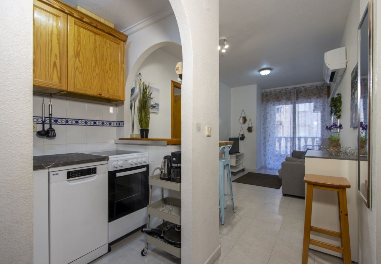 Apartment in Torrevieja - ID89