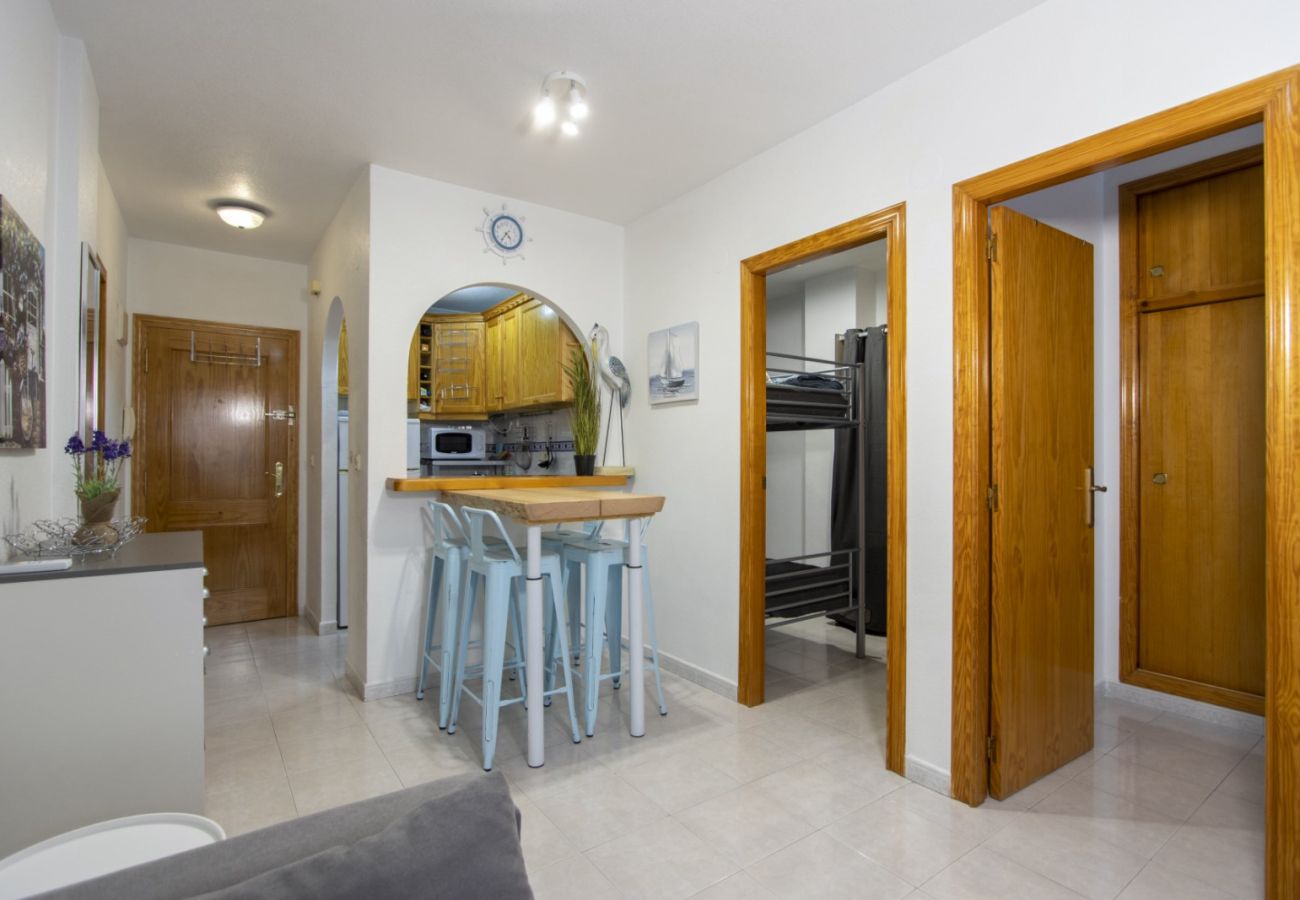 Apartment in Torrevieja - ID89