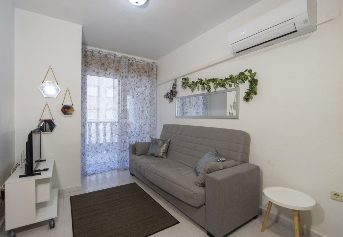 Apartment in Torrevieja - ID89