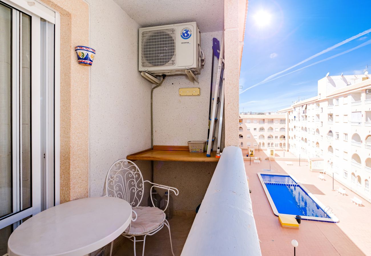 Apartment in Torrevieja - ID91