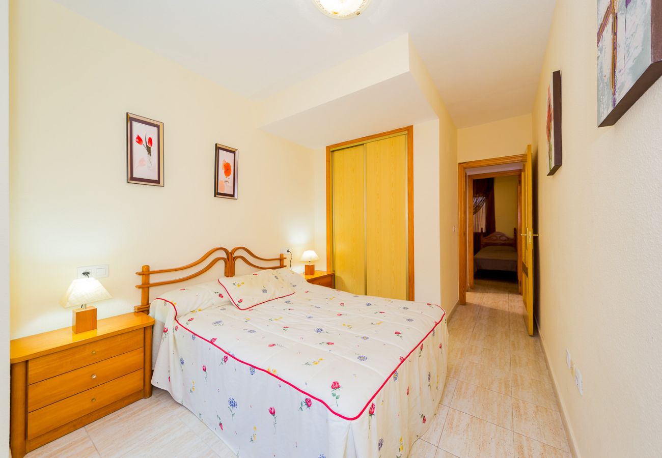 Apartment in Torrevieja - ID94