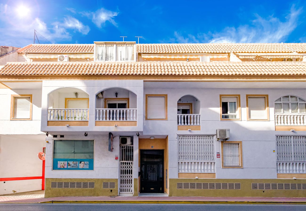 Apartment in Torrevieja - ID97