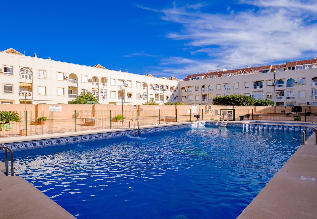 Apartment in Torrevieja - ID97