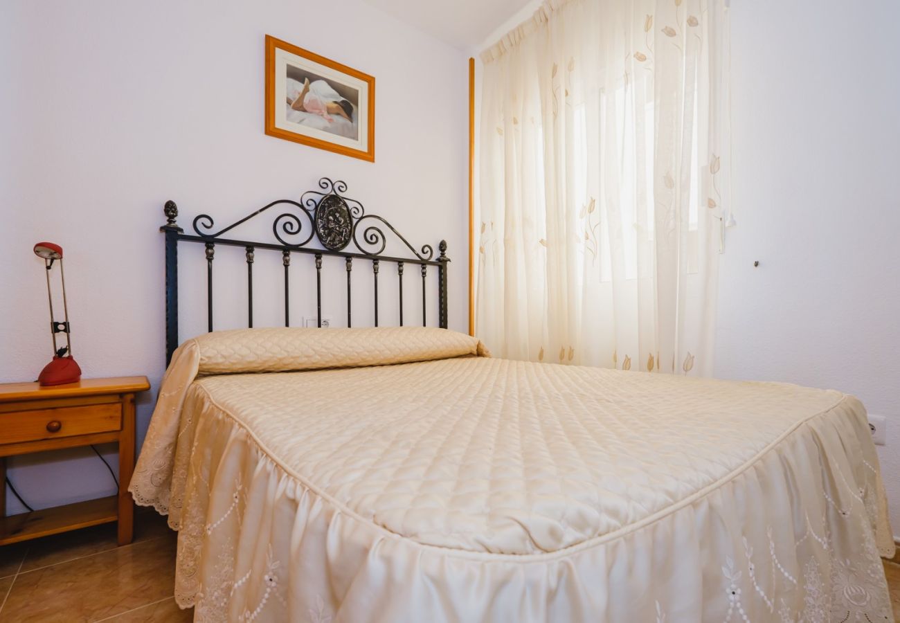 Apartment in Torrevieja - ID116