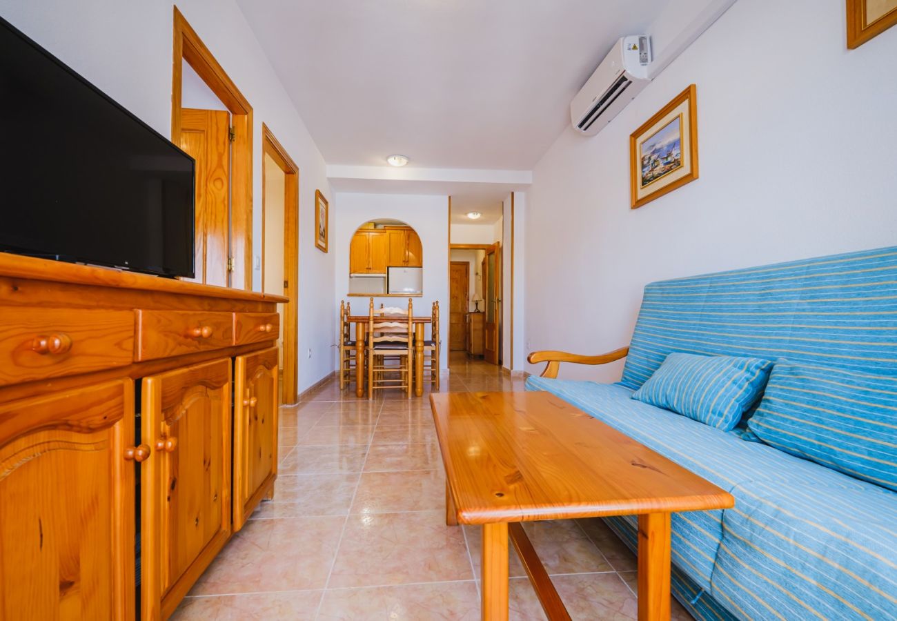 Apartment in Torrevieja - ID116