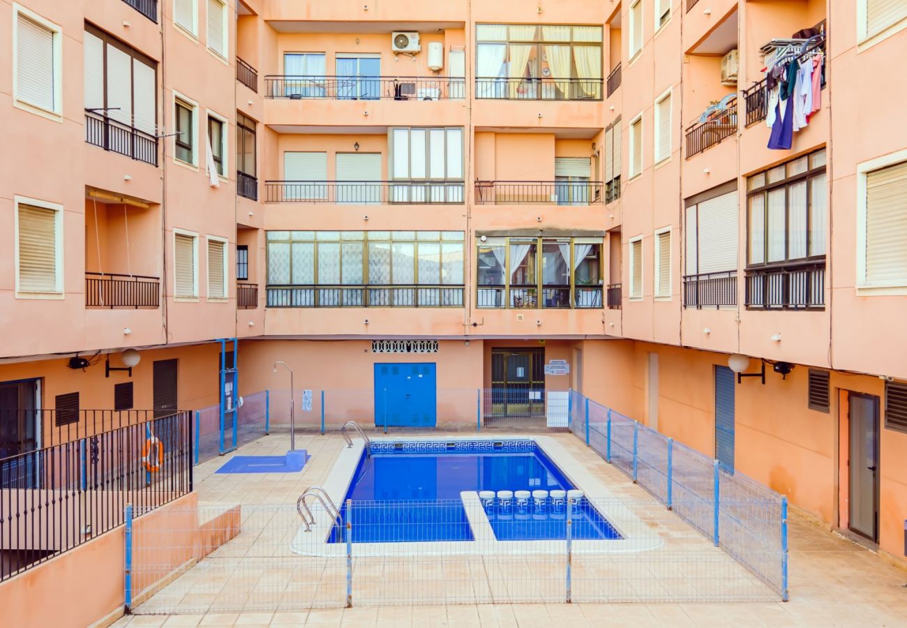 Apartment in Torrevieja - ID124