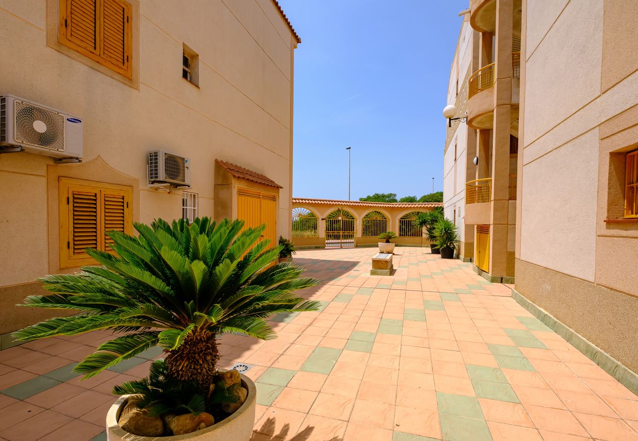 Apartment in Torrevieja - ID174