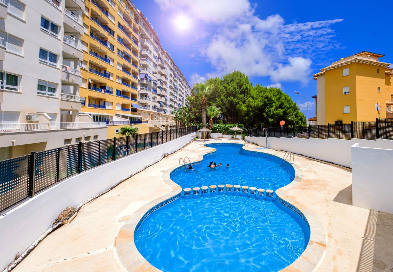 Apartment in Orihuela Costa - ID175