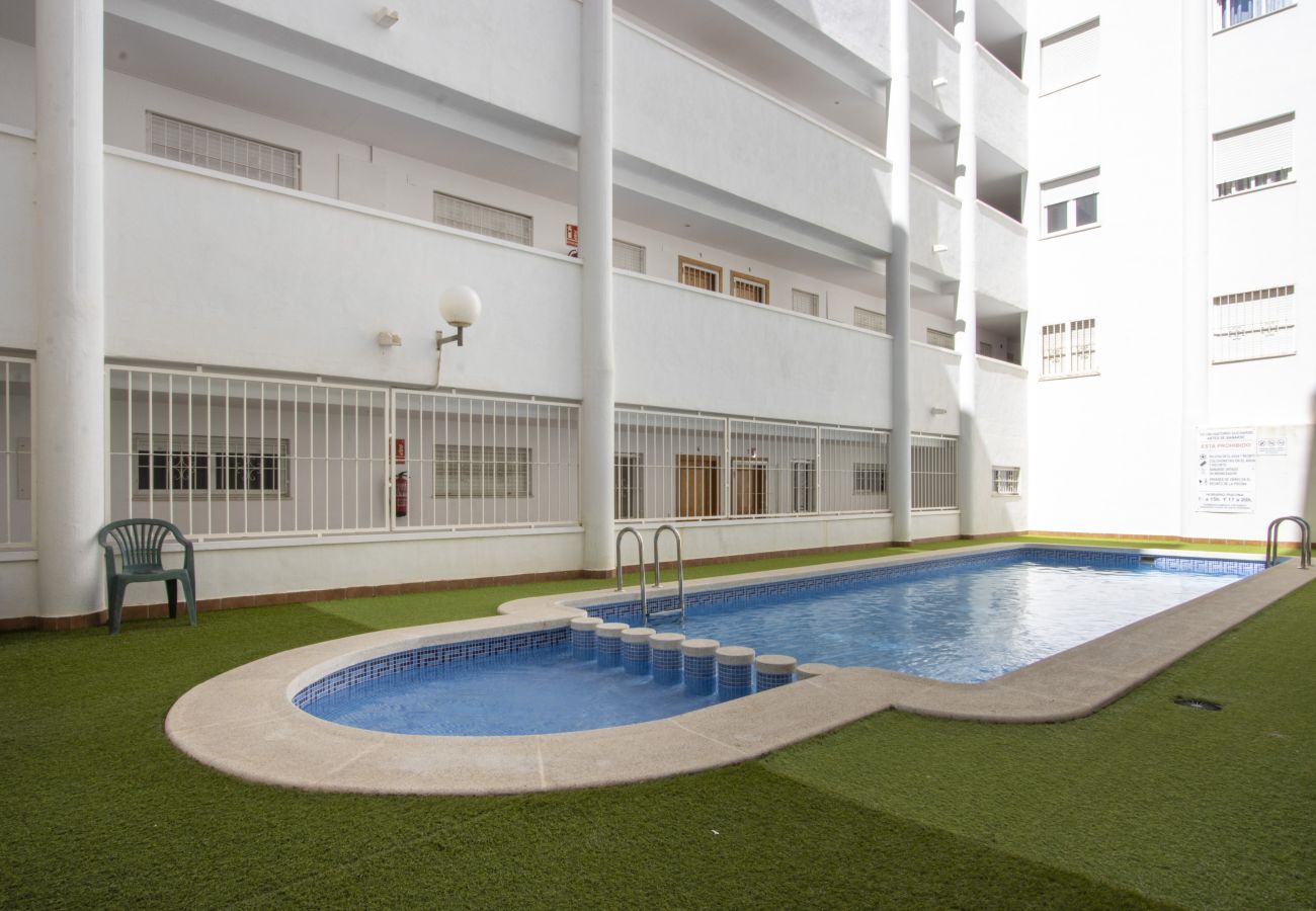 Apartment in Torrevieja - ID44