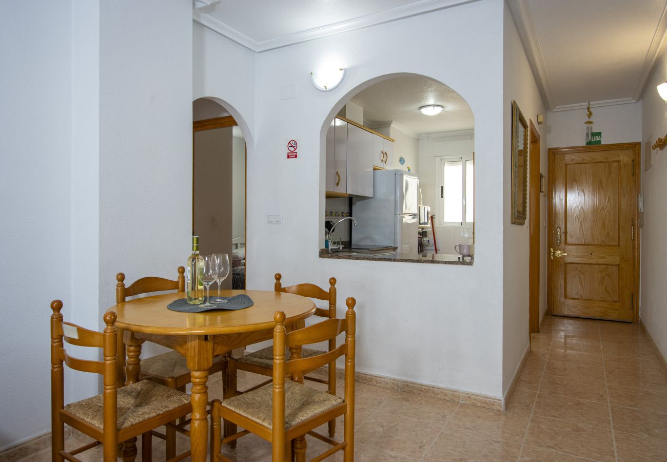 Apartment in Torrevieja - ID44