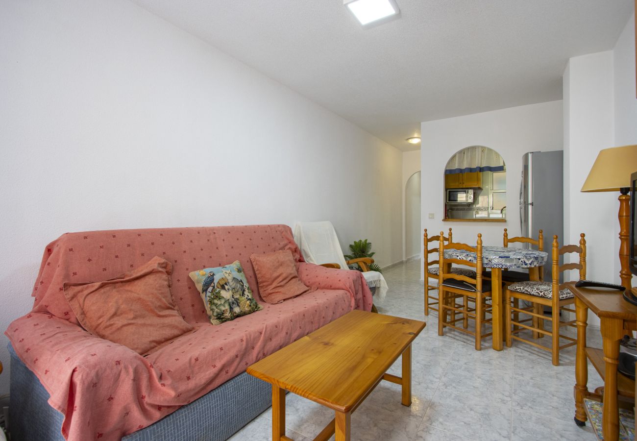 Apartment in Torrevieja - ID54