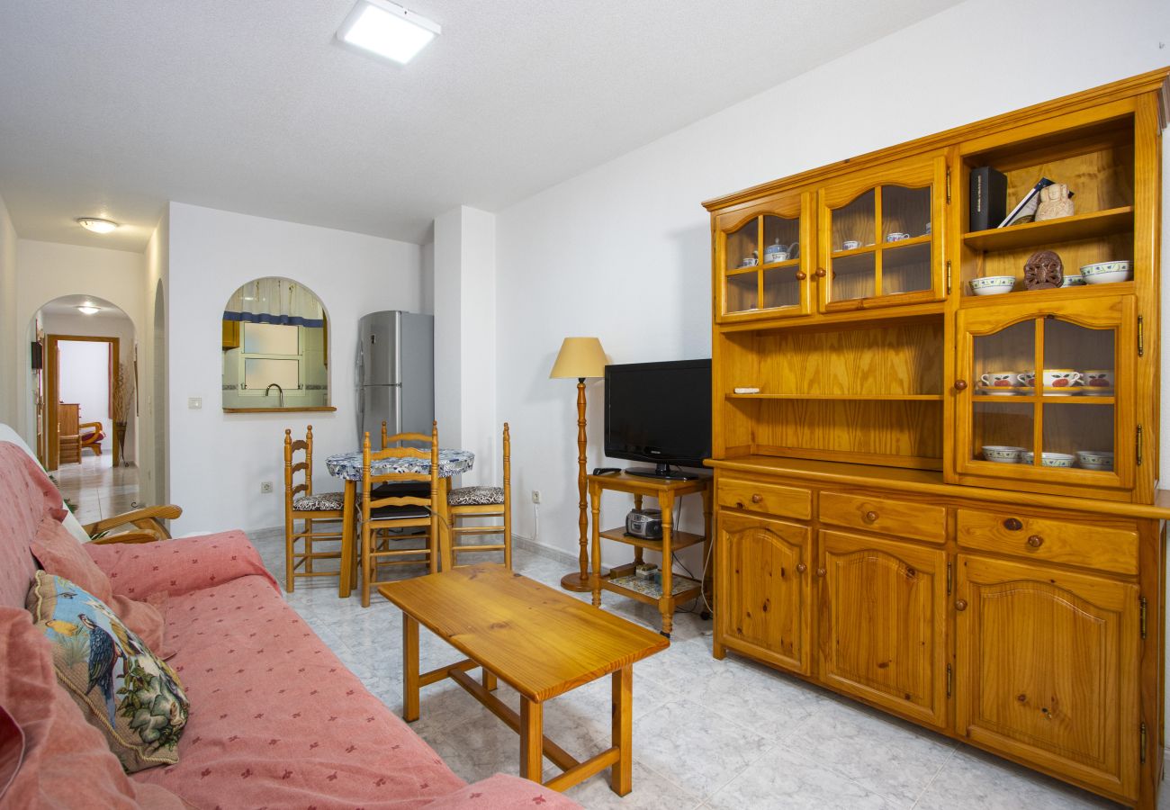 Apartment in Torrevieja - ID54