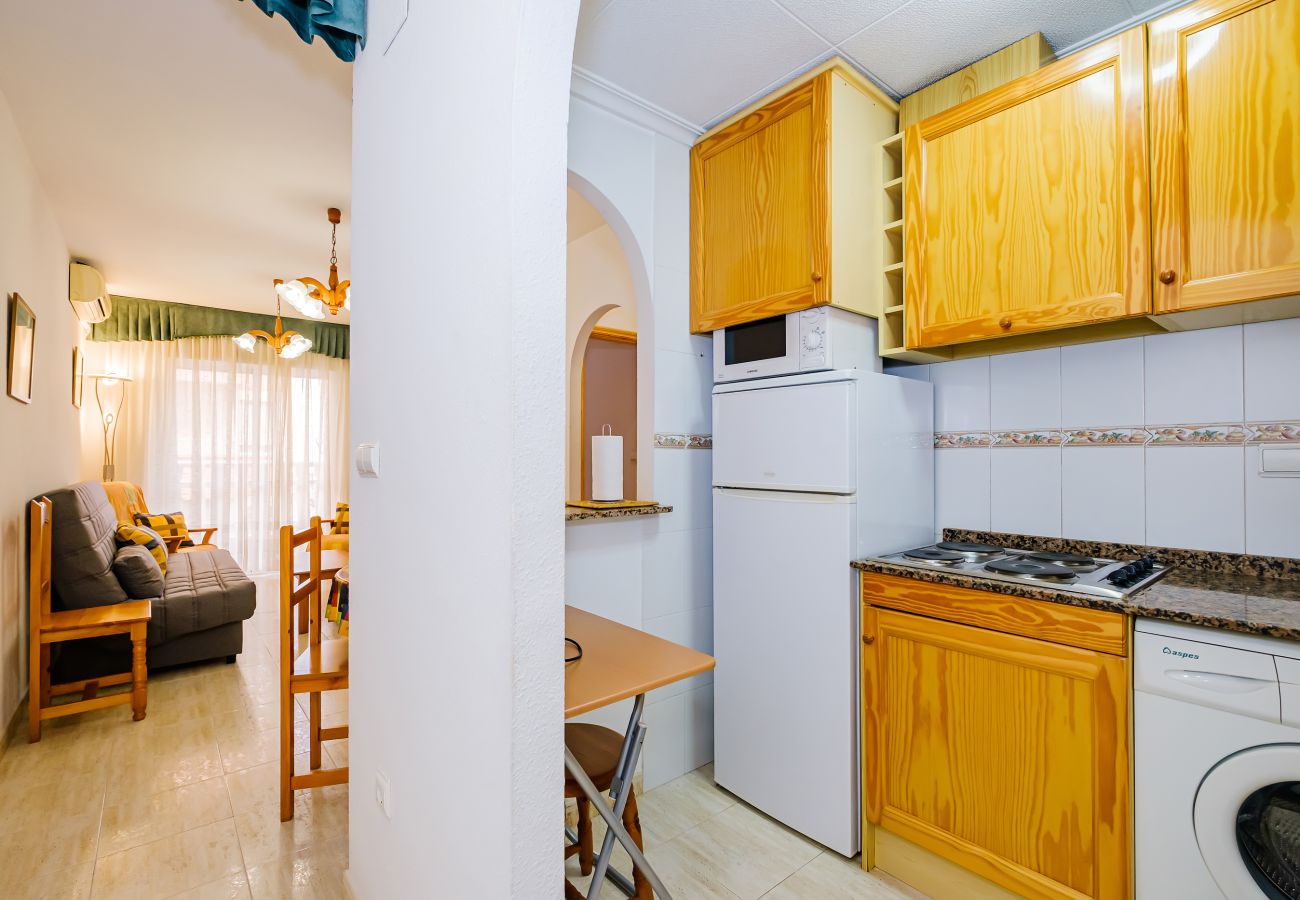 Apartment in Torrevieja - ID56