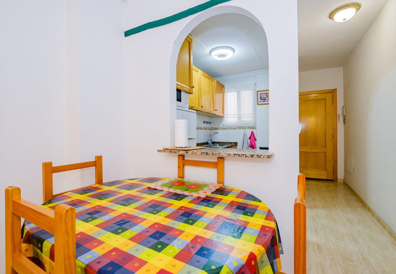 Apartment in Torrevieja - ID56