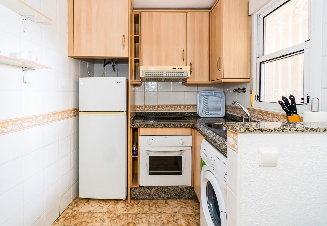 Apartment in Torrevieja - ID110