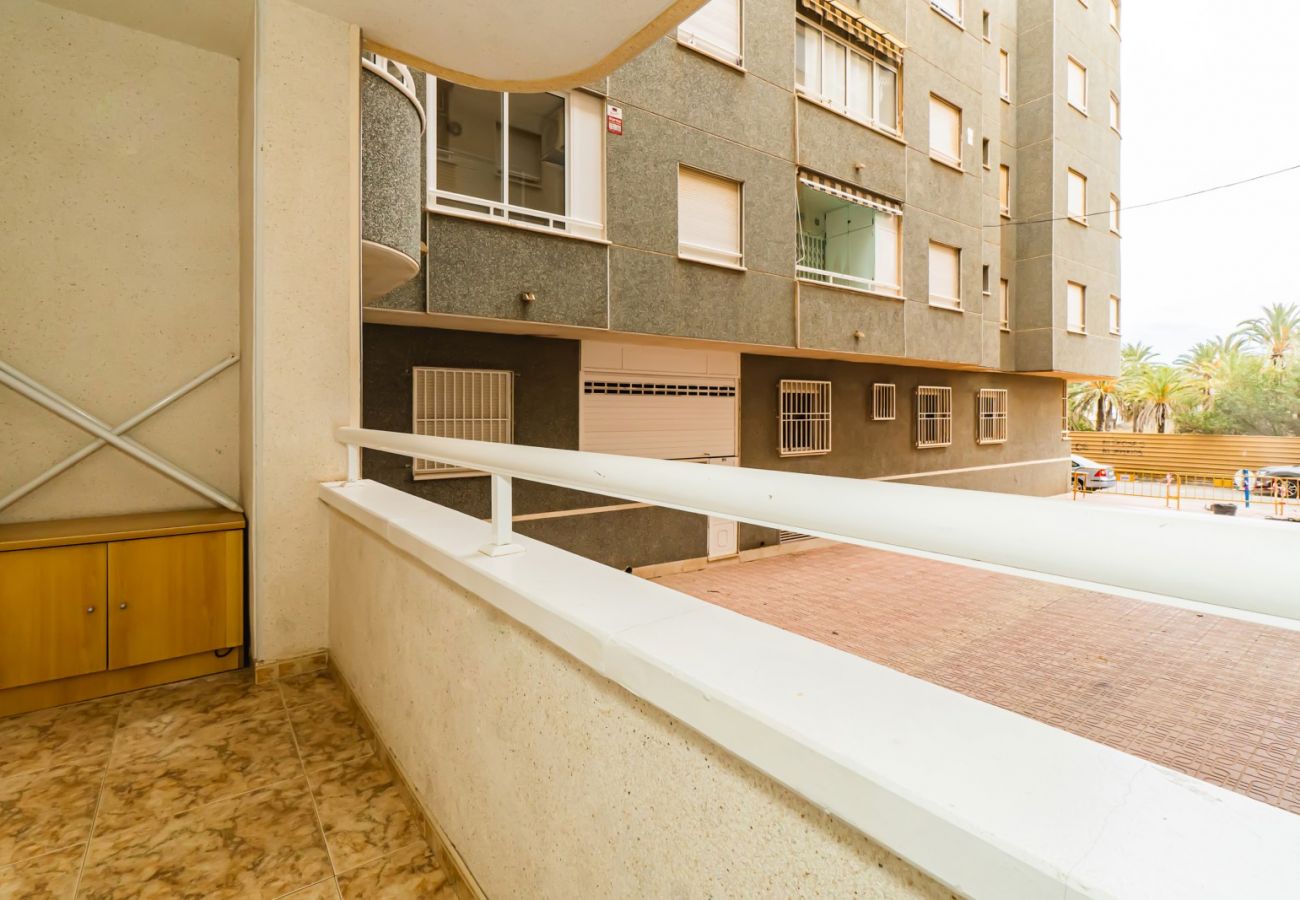 Apartment in Torrevieja - ID110