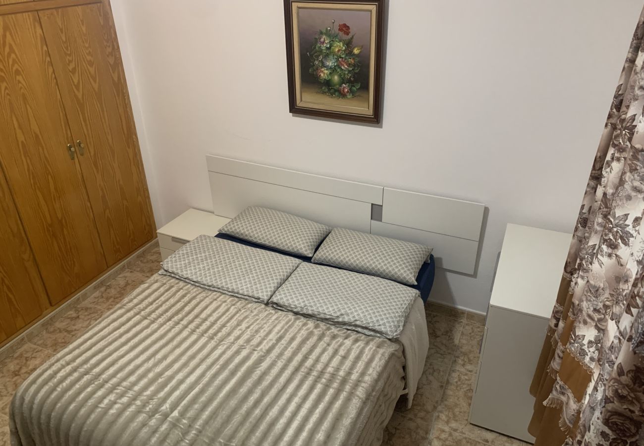 Apartment in Torrevieja - ID110