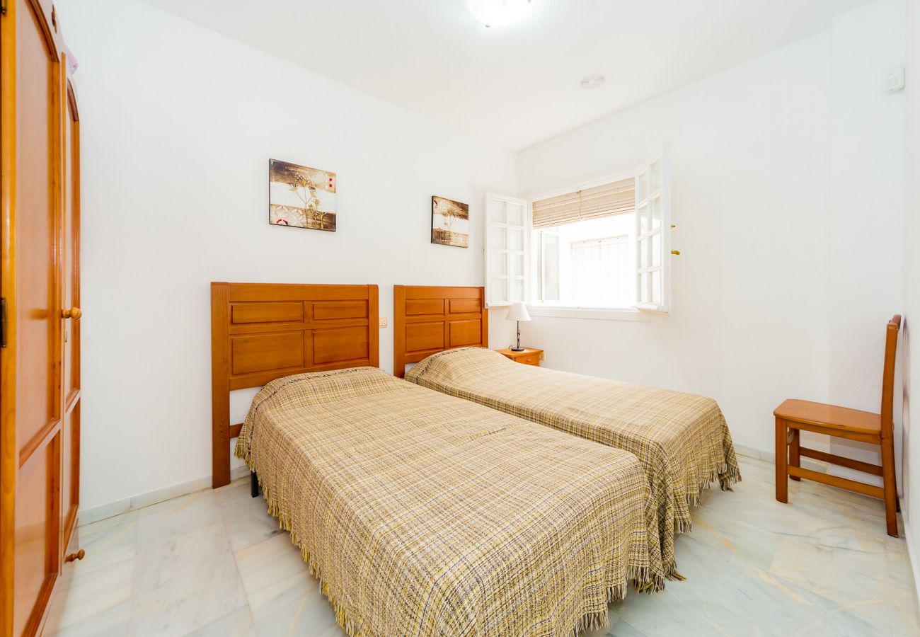 Apartment in Torrevieja - ID371