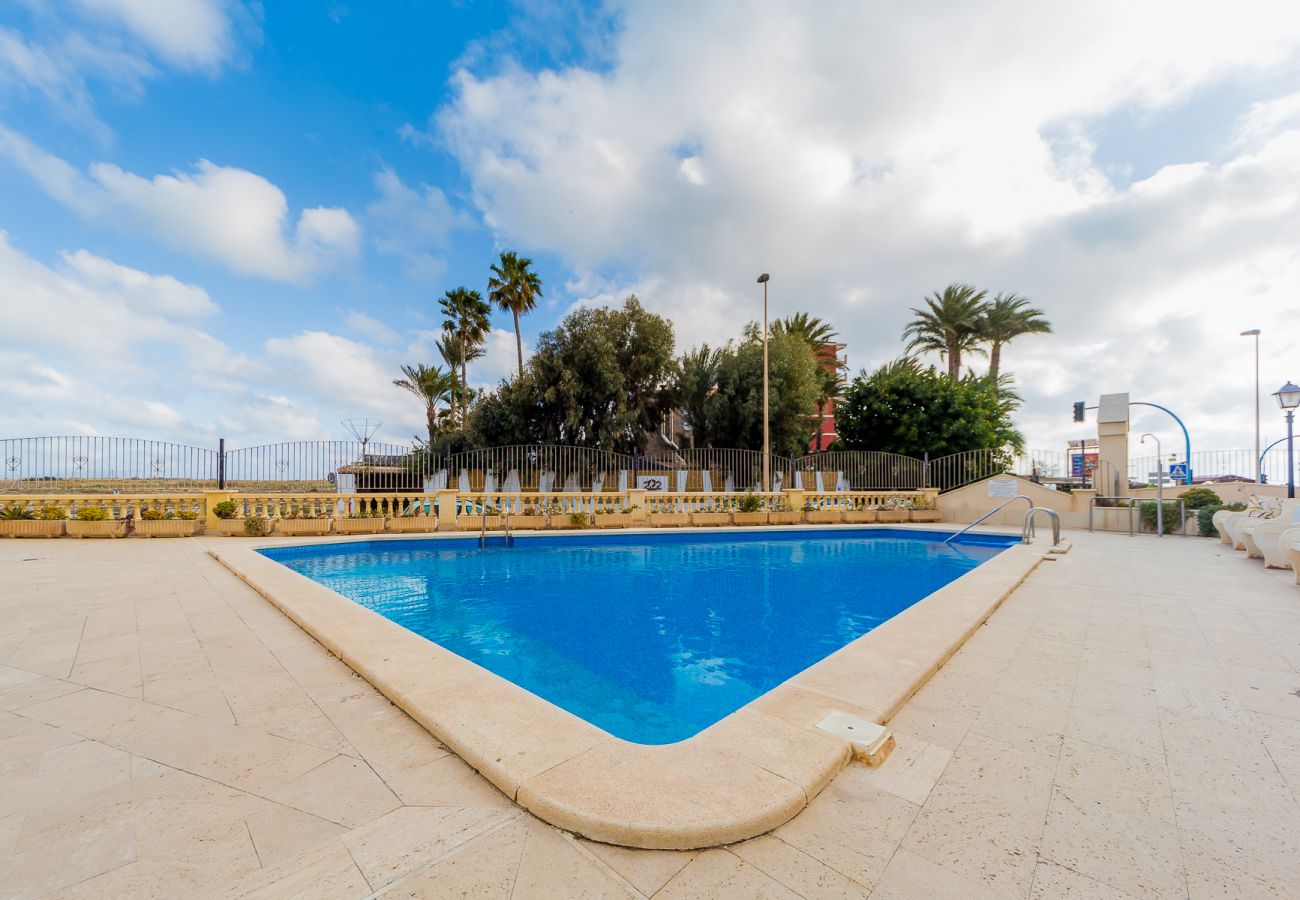 Apartment in Torrevieja - ID371