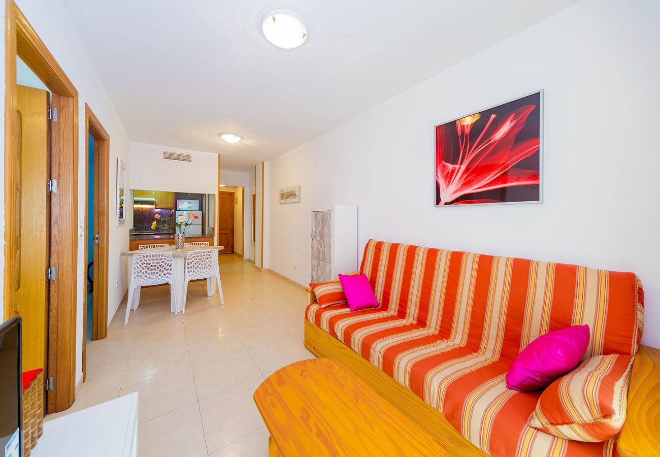 Apartment in Torrevieja - ID84